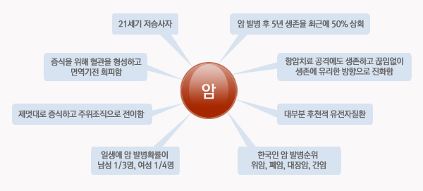 암 발병 후 5년 생존율 최근에 50% 상회,항암치료 공격에도 생존하고 끊임없이 생존에 유리한 방향으로 진화함,대부분 후천적 유전자질환,한국인 암 발병순위  위암, 폐암, 대장암, 간암,일생에 암 발병확률이 남성 1/3명, 여성 1/4명,제멋대로 증식하고 주위조직으로 전이함,증식을 위해 혈관을 형성하고 면역기전 회피함,21세기 저승사자